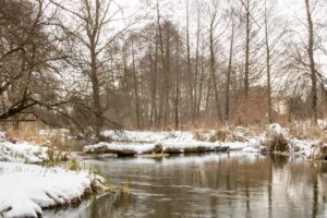 Krajobraz rzeki Bystrzycy. 